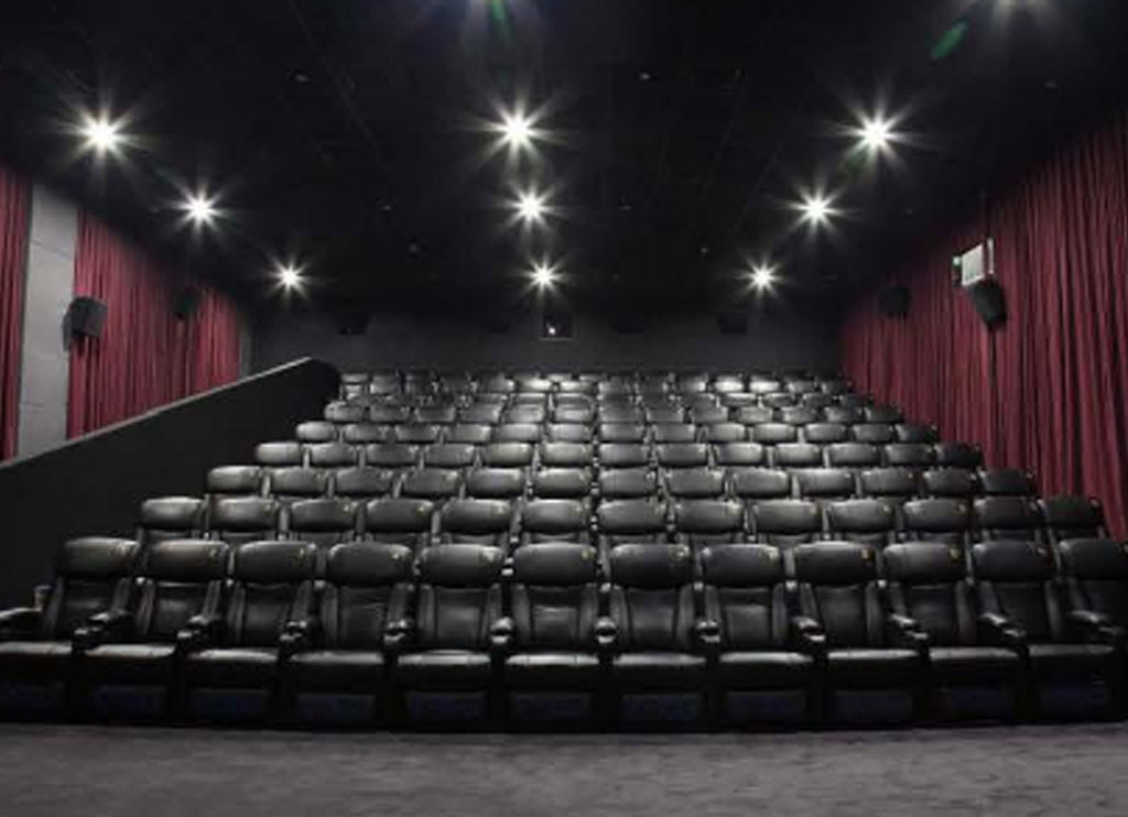 Cinema sofa model HS1109